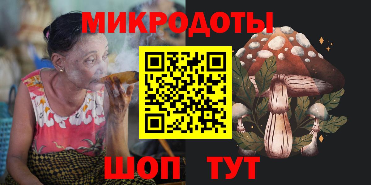 Галлюциногенные грибы Psilocybe Коряжма