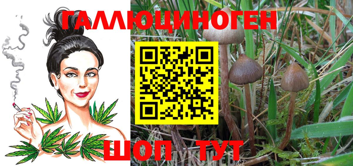 Псилоцибиновые грибы GOLDEN TEACHER  Вход с VPN  наркошоп  Псилоцибиновые грибы мухоморы  Коряжма 
