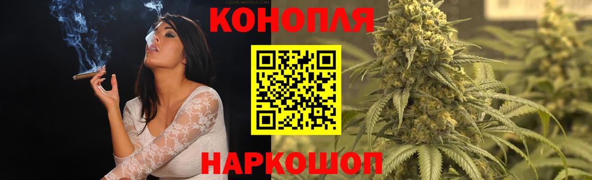 Галлюциногенные грибы Коряжма